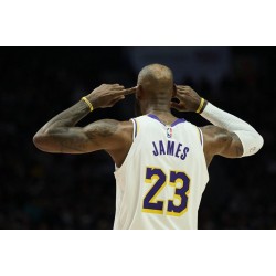 LeBron James posee una comprensión única y profunda del baloncesto